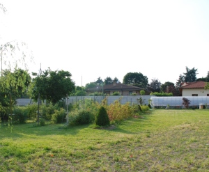 IL CAMPO COME E'.... 