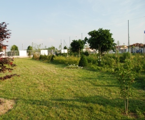 IL CAMPO COME E'.... 